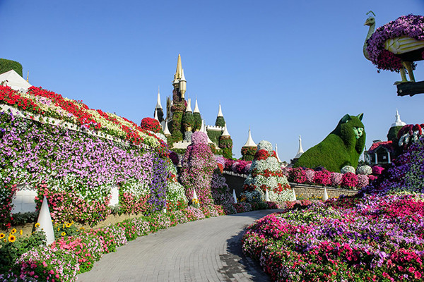 Miracle Garden