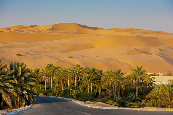 Liwa Oasis