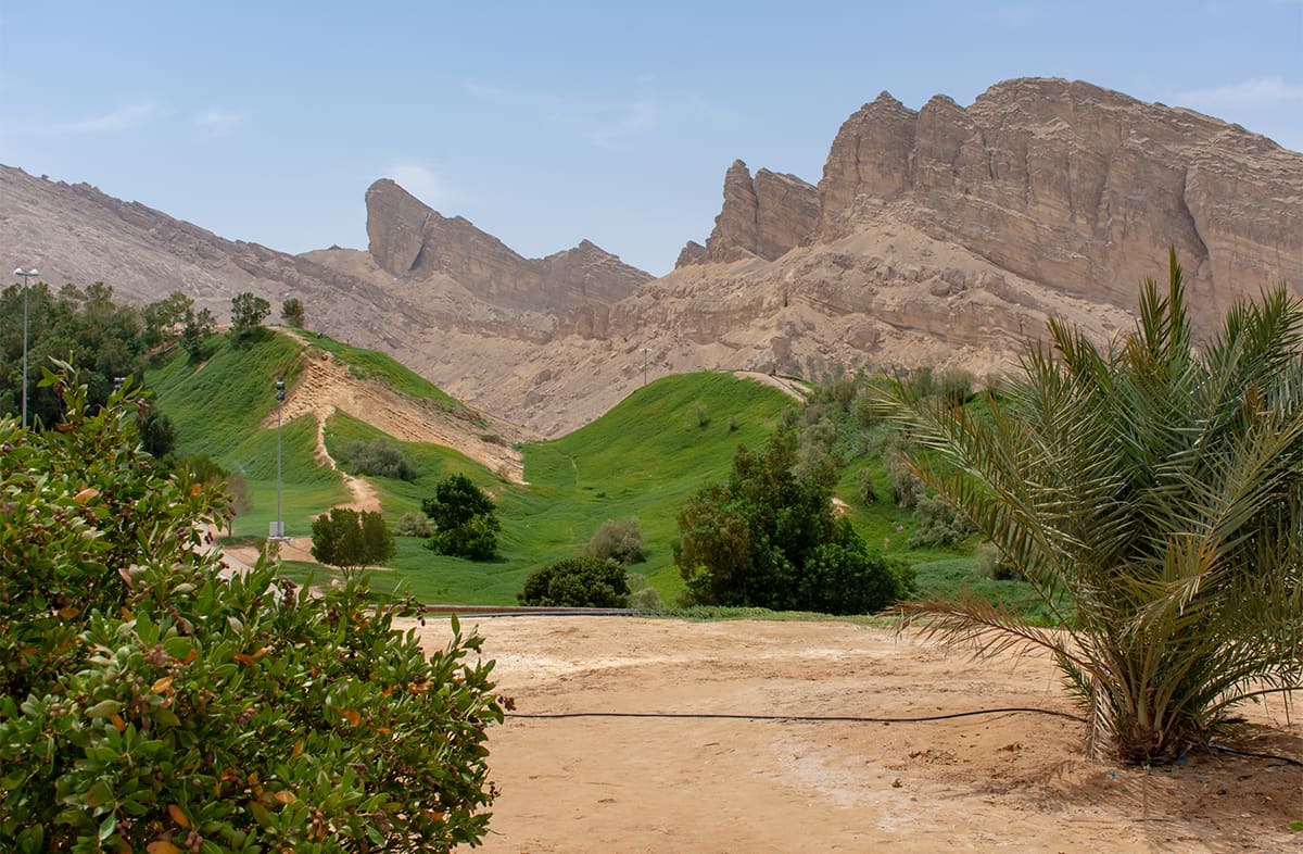 Green Mubazzarah Park