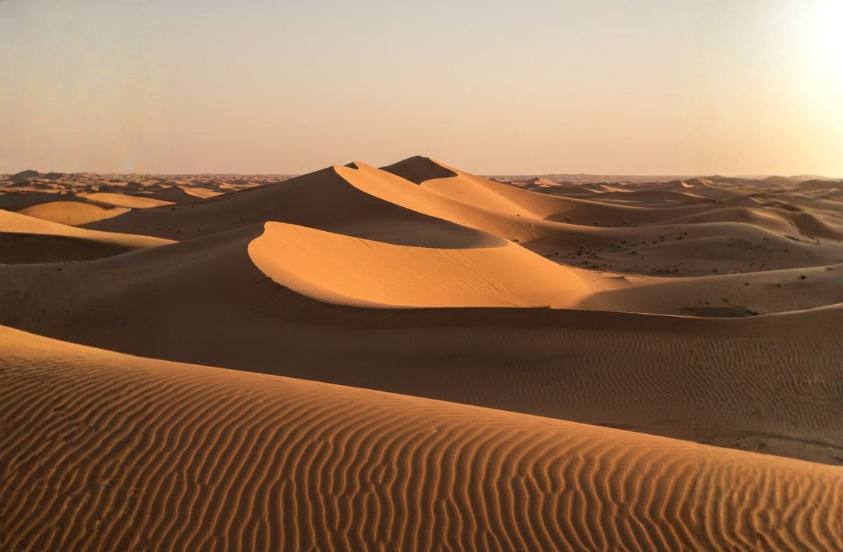 Liwa Oasis