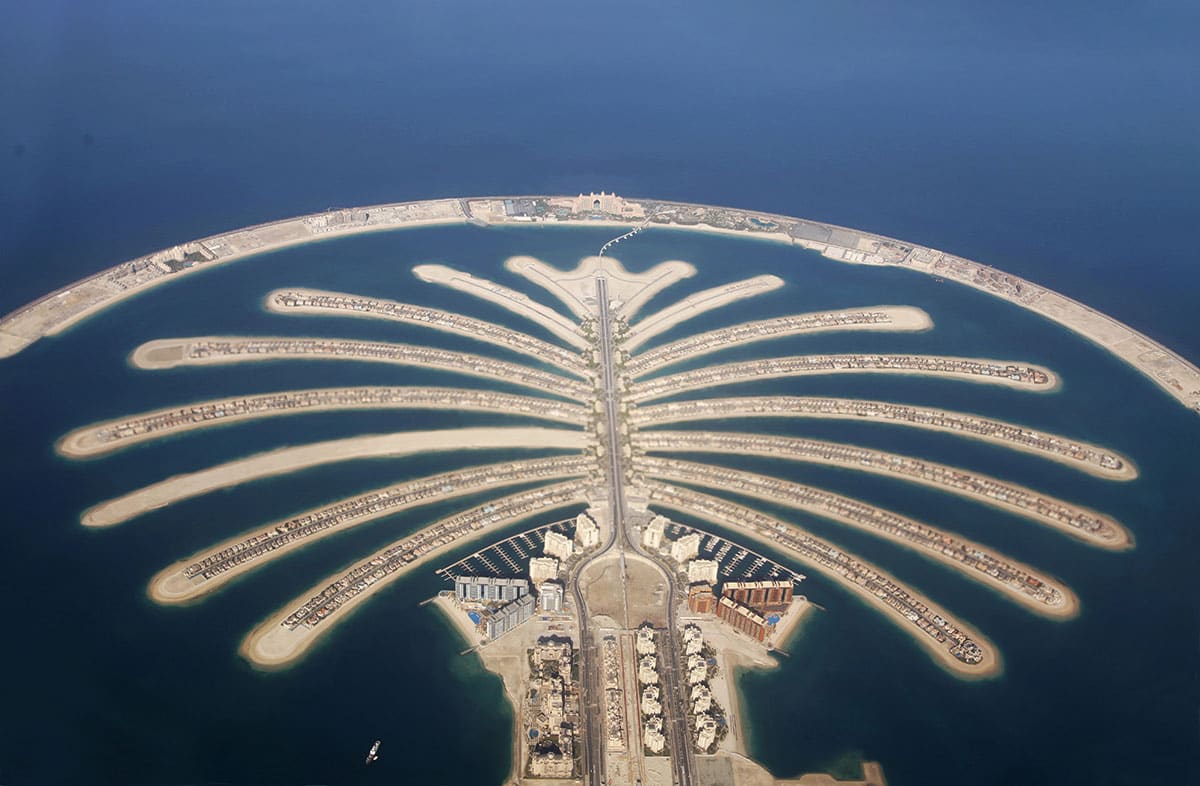 Palm Island