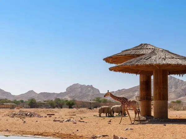 Al Ain Zoo