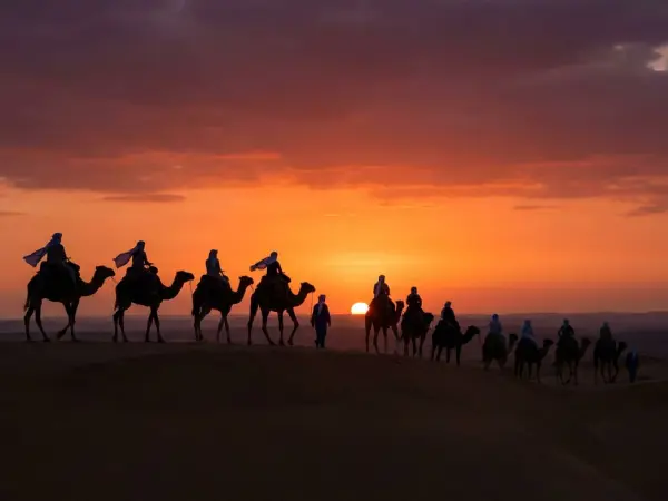 Camel Ride