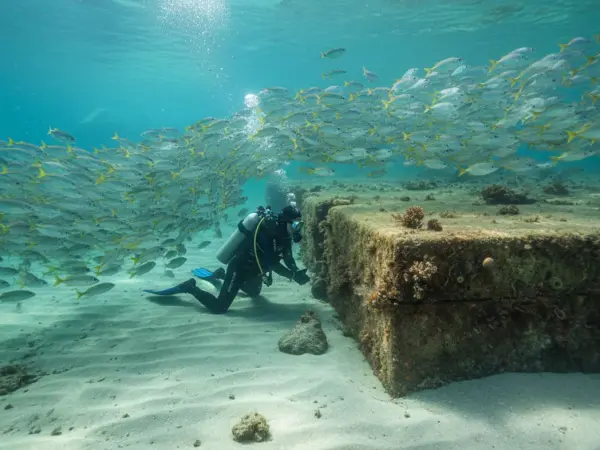 Scuba Diving Dubai