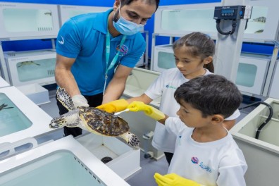 After- School Activity: 'Junior Marine Biologist' Program