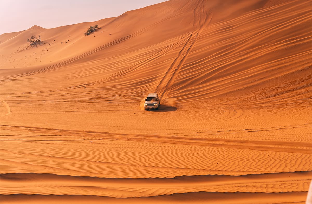 Abu Dhabi Desert Safari with BBQ Dinner