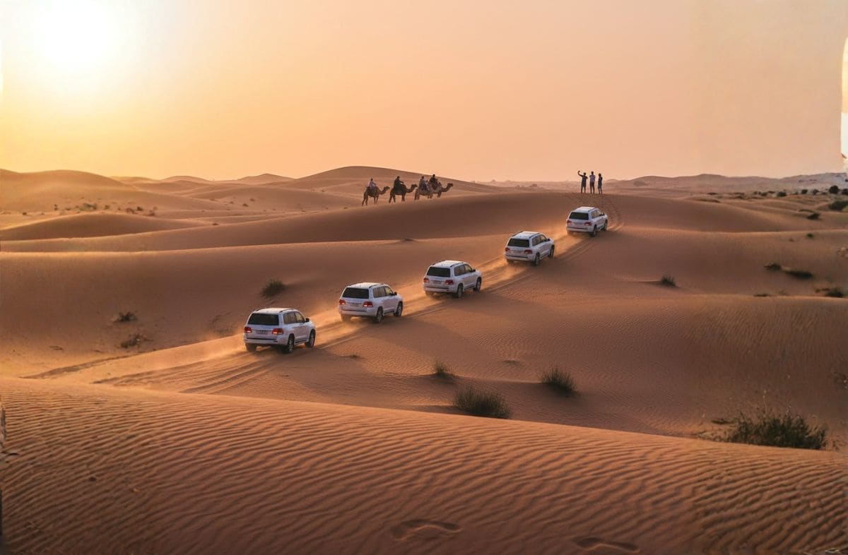 Dubai Sunrise/Morning Desert Safari Tour