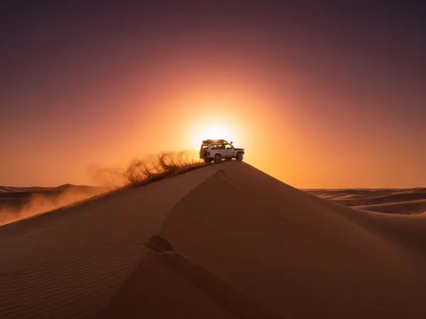 Abu Dhabi Liwa Oasis (Mureeb Dune) Tour