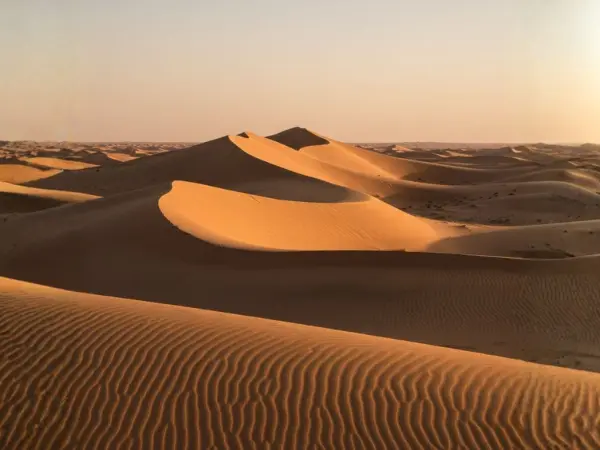 Abu Dhabi Liwa Oasis (Mureeb Dune) Tour