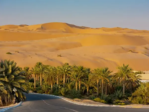 Abu Dhabi Liwa Oasis (Mureeb Dune) Tour