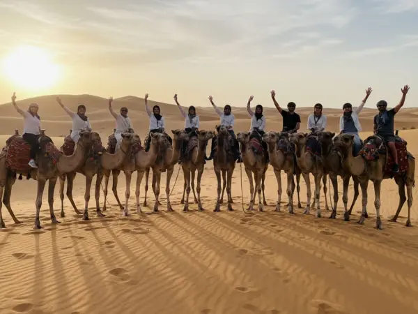 Dubai Sunrise/Morning Desert Safari Tour