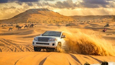 All Things to Do at Desert Safari Dubai