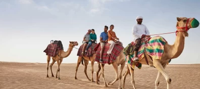 Embrace the Magic: Morning Desert Safari in Dubai