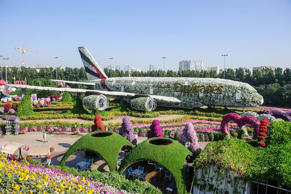 Dubai Miracle Garden Pictures