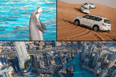 Dubai Sightseeing City Tour + Dolphin and Seal Show + Desert Safari with (BBQ Buffet) Dinner