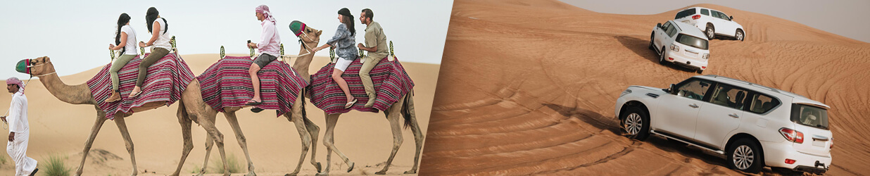 Morning/Evening Camel Trekking in the Desert