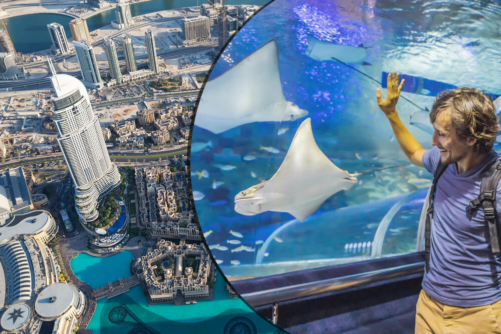 Dubai Sightseeing City Tour + Burj Khalifa + Under Water Zoo and Aquarium + Desert Safari with BBQ (Buffet) Dinner