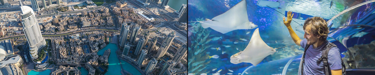 Dubai Sightseeing City Tour + Burj Khalifa + Under Water Zoo and Aquarium + Desert Safari with BBQ (Buffet) Dinner