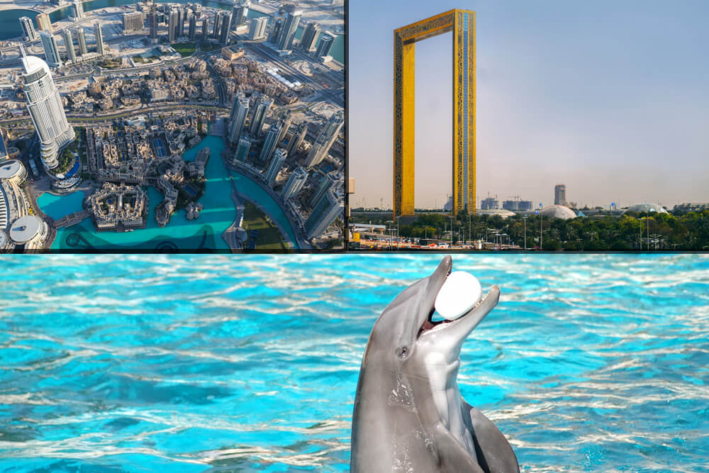 Dubai Sightseeing City Tour + Dolphin and Seal Show + Dubai Frame + Desert Safari with (BBQ Buffet) Dinner